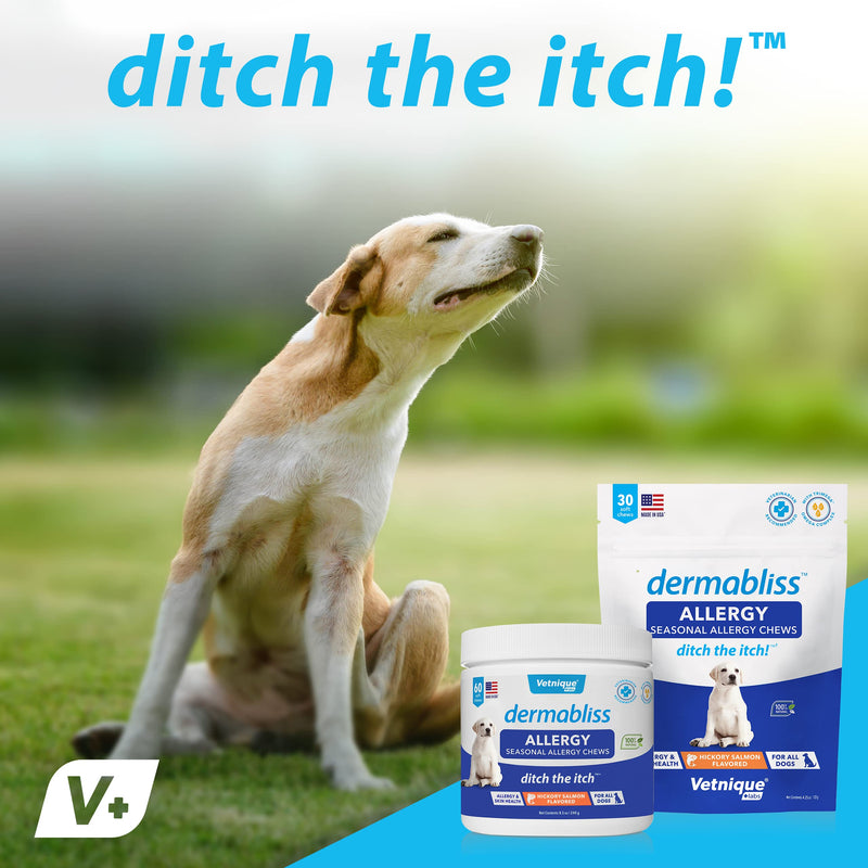 Dermabliss Allergy Chews 30 Ct and Glandex Anal Gland Support Chews 30 Ct Bundle Dog Vitamins & Supplements, Anal Gland Dog Treats with Probiotics, Dog Allergies Skin Treatment Soft Chew - BeesActive Australia
