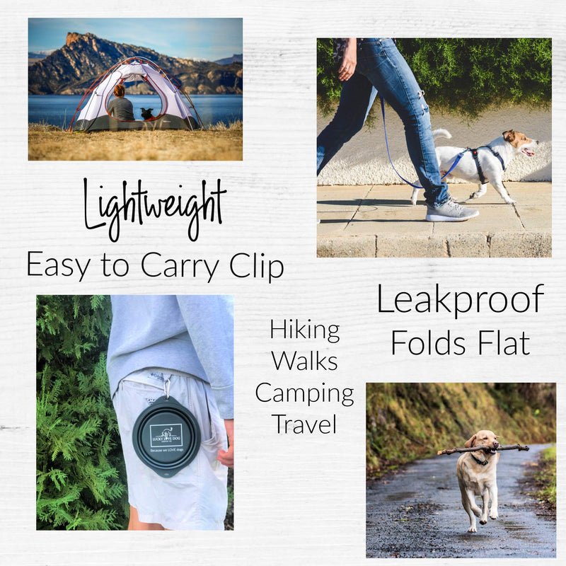 Lucky Love Dog Travel Dog Bowl | Collapsible Compact Water Dog Dish Rose - BeesActive Australia