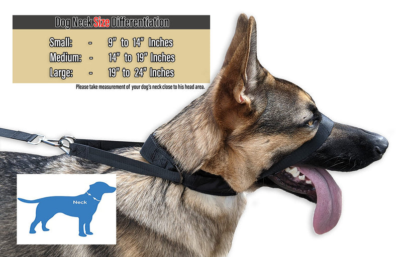 Pets ProMax – Dog Headcollar, No-Pull Dog Collar, Dog Walking/Training Dog Collar | Head Halter Collar for Dogs | Training Collar for Dogs to Stop Pulling While Walking. L (Large) - BeesActive Australia