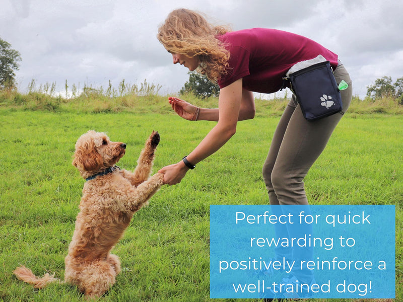 Pet Impact Dog Treat Pouch, Dog Walking Bag for All Your Essential Items, One of a Kind Eco-Friendly Treat Bag Wanderlust - BeesActive Australia