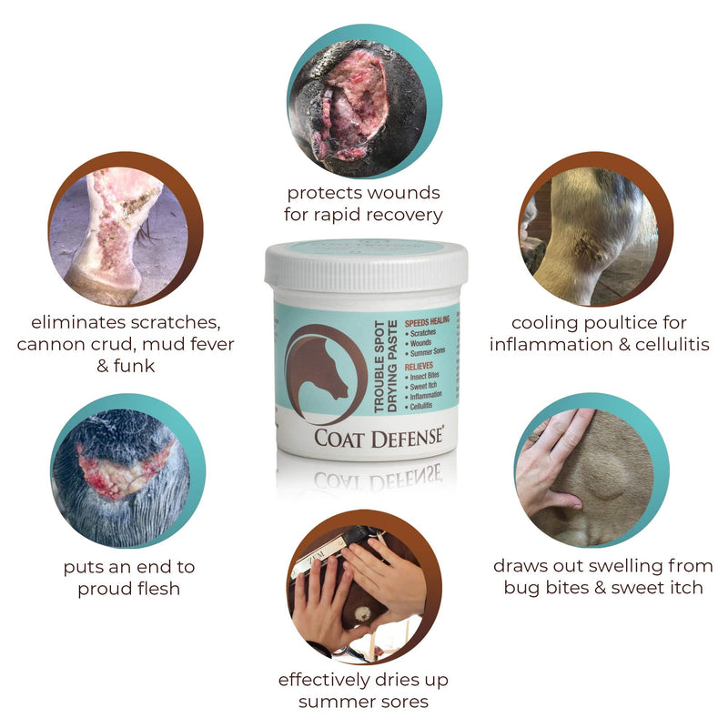 COAT DEFENSE Trouble Spot Drying Paste for Horses - Natural Equine Wound Care That Provides Safe & Effective Relief from Scratches, Sweet Itch, Summer Sores, Proud Flesh, Mud Fever, Girth Rot (10 Oz) - BeesActive Australia