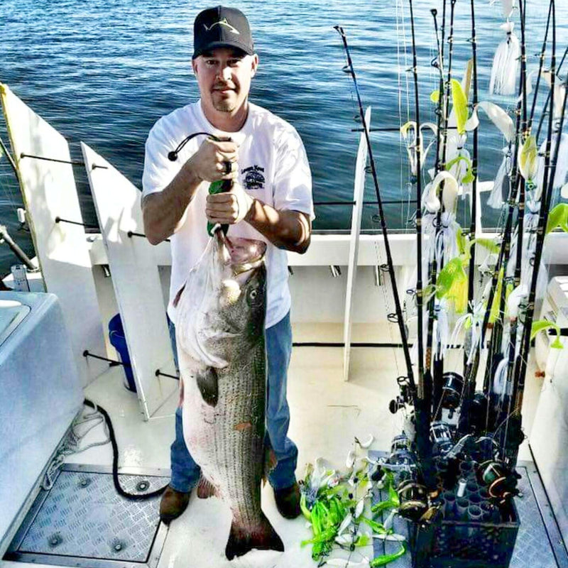 Line Cutterz Lunker Tamers Pink - BeesActive Australia