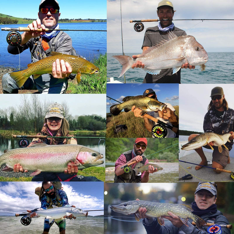M MAXIMUMCATCH Maxcatch Super Slim Waterproof Fly Fishing Box Easy Grip Foam Multi Magnetic Compartments Lure Tackle Box 8 Compartments--5.4''x 3.7''x 0.6'' - BeesActive Australia