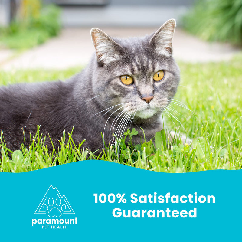 Omega 3 Fish Oil for Cats and Small Dogs | Premium Quality Omega 3 Supplement for Pets 2 Ounce - BeesActive Australia