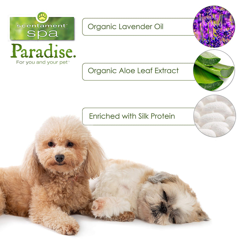 Best Shot Pet Scentament Lavender Aloe Calming Conditioner 16 oz - BeesActive Australia