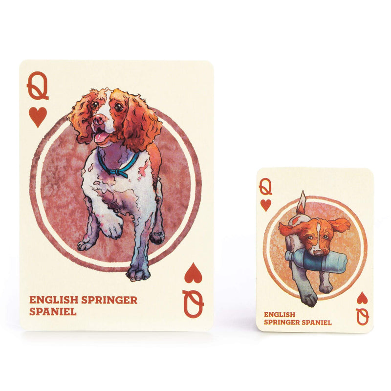 Dogs & Puppies Playing Cards - 100+ Dog & Puppy Illustrations, Two Decks of Assorted Breeds - Pictures of Pets for Animal Lovers - Family Games, Hobbies, & Collections - Cute Pet Themed Collectibles - BeesActive Australia