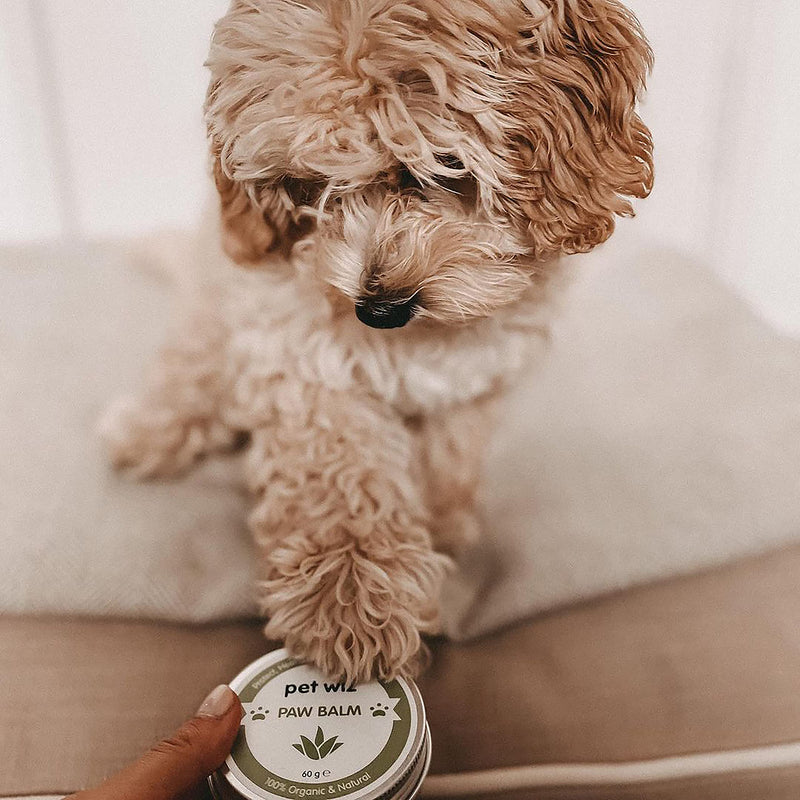 Paw & Nose Balm for Dogs & Cats - Organic & Natural Ingredients - Organic Paw and Nose Balm for Dogs and Cats - Coconut Oil, Shea Butter, Vitamin E & Aloe - BeesActive Australia