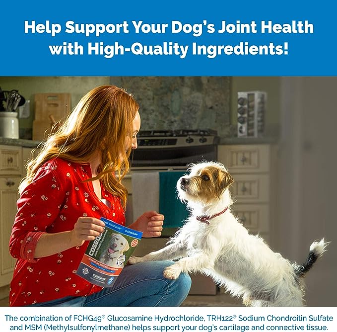 Nutramax Cosequin DS PLUS MSM Joint Health Supplement for Dogs of All Sizes - 132 Chewable Tablets - BeesActive Australia