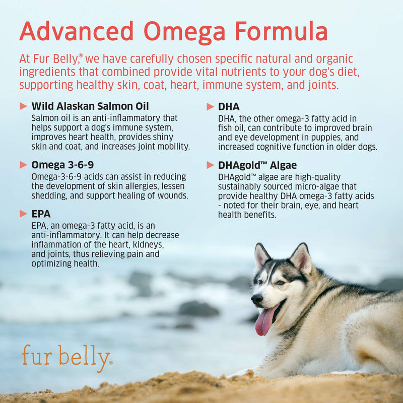 Salmon Oil for Dogs - Wild Alaskan Fish Oil for Dogs - Omega 3 for Dogs - Itch Relief for Dogs - Dog Joint Health - Dog Allergy Relief- Dog Itch Relief - 120 Dog Fish Oil Soft Chews - BeesActive Australia