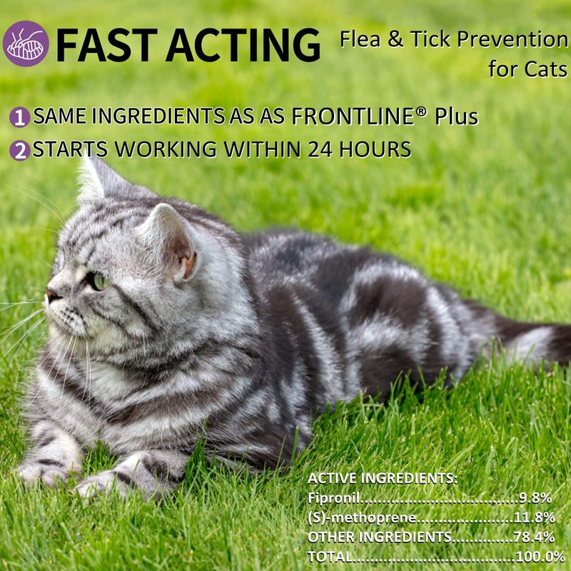 Flea and Tick Prevention for Cats, Cat Flea & Tick Control with Fipronil, Long-Lasting & Fast-Acting Topical Flea & Tick Treatment Drops for Kitten, 3 Doses - BeesActive Australia