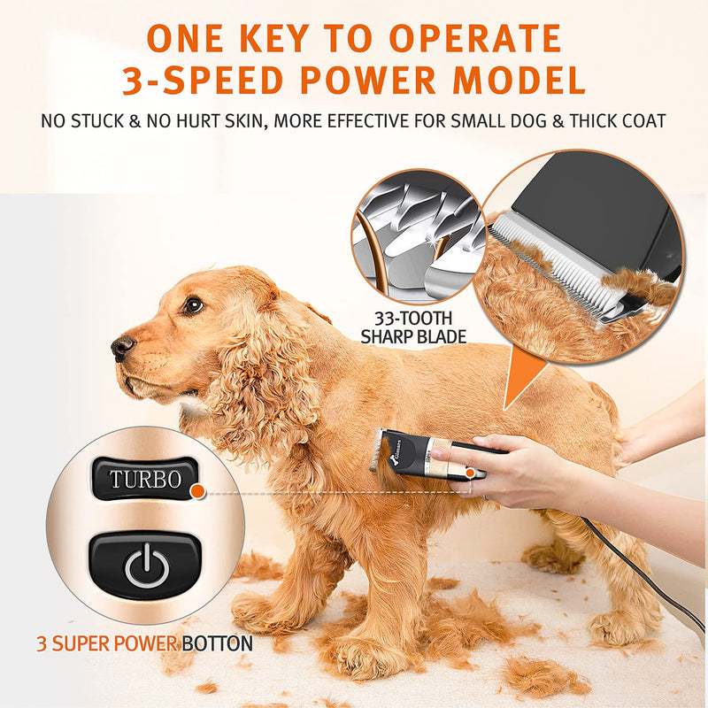 Gimars 3-Speed Low Noise Dog Hair Clippers, Rechargeable Cordless Quiet Electric LCD Display Pet Hair Thick Coats Grooming Clippers Trimmers Kit Dog Shaver Set for Dogs Cats Pet Horse 2 in 1 - Titanium Blade - BeesActive Australia