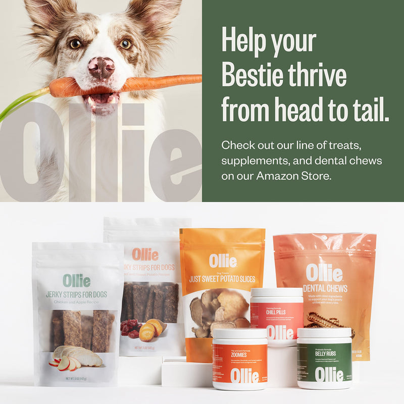 Ollie Dog Supplements Probiotic - BeesActive Australia
