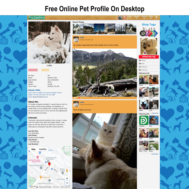 Pet Dwelling 2D QR Code Pet ID Tag - Dog Tags - Cat Tags - Online Pet Profile - Instant Email Alert - Scanned QR Tag GPS Location Pink Paw 2d - BeesActive Australia