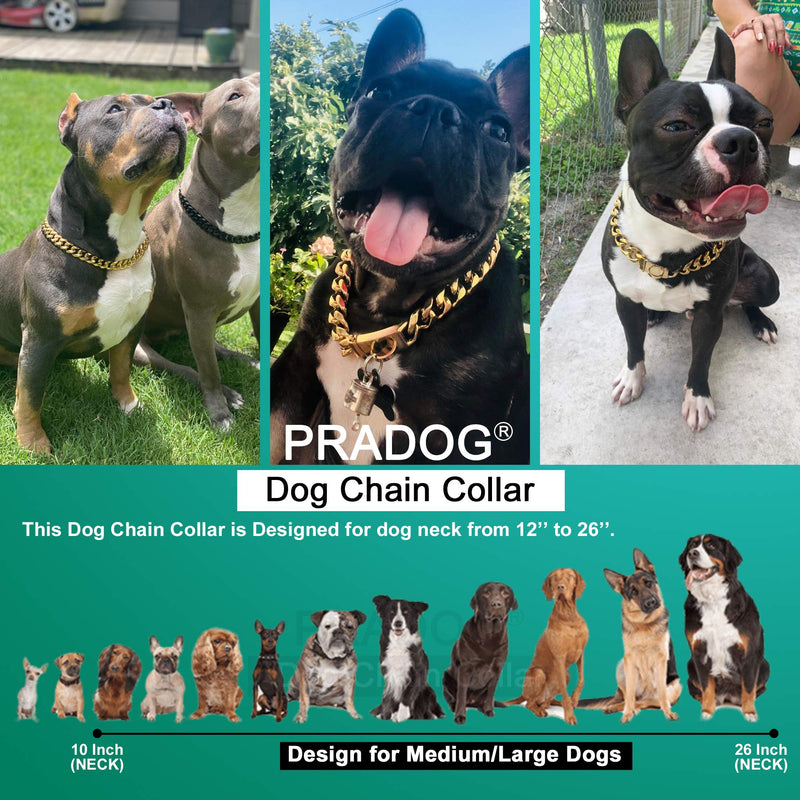 PRADOG Gold Chain Dog Collar Designer Dog Cuban Link Chain Collar with Safty Design Buckle 15MM Metal Stainless Steel Walking Collars (12 to 26in) 18" ( Fits Neck 16" to 17.5") - BeesActive Australia