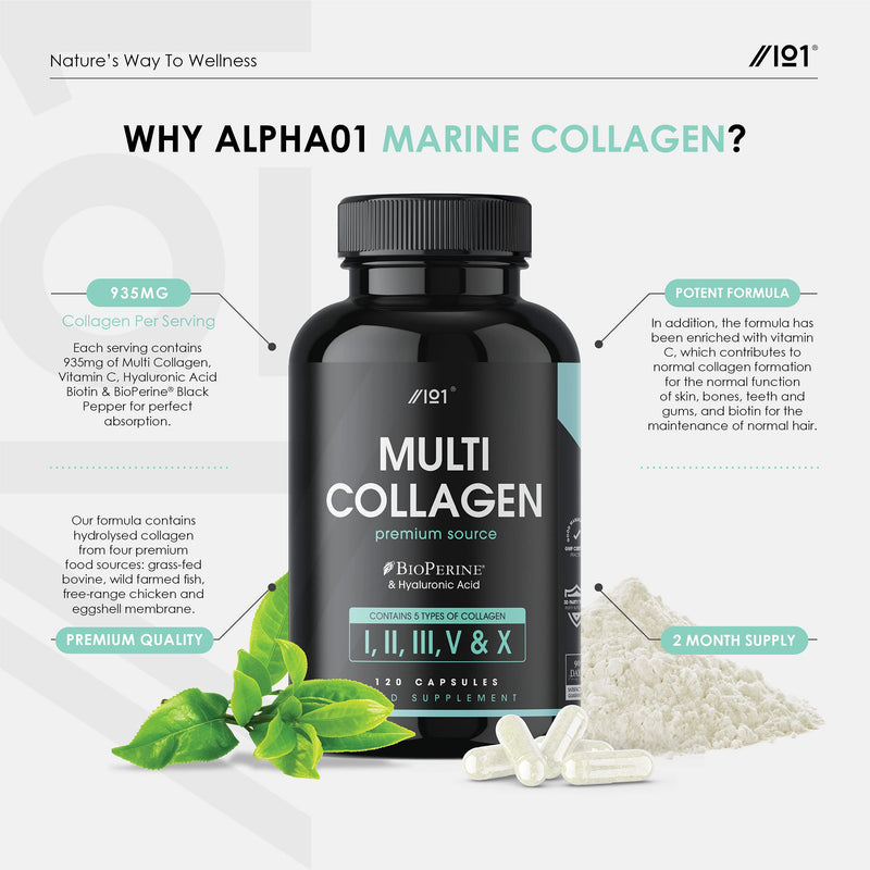 Multi Collagen Capsules - Types I, II, III, V & X - Wild Caught Marine, Grass Fed Bovine, Eggshell & Free-Range Chicken Collagen Powder, with Hyaluronic Acid & Vitamin C, 120 Caps 120 Count (Pack of 1) - BeesActive Australia