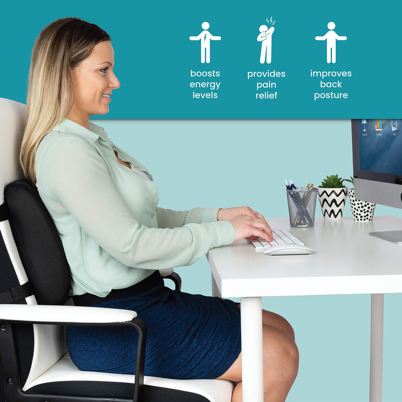 Healthy Spirit Memory Foam Lumbar Support Back Cushion | Back Support for Office Chair Car | Lumbar Support Pillow, Black, 1 Count - BeesActive Australia