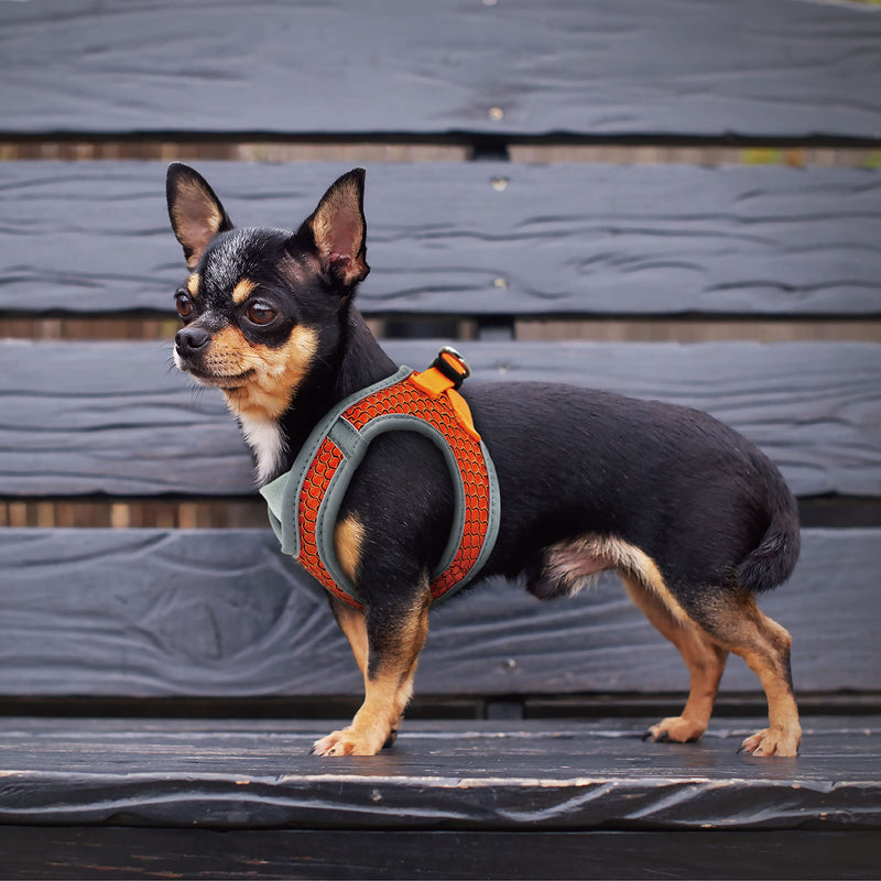 Kruz PET KZA308 Reflective V-Neck Step In Mesh Dog Harness - No Pull, Quick Fit, Comfortable, Velcro-Adjustable Pet Harnesses for Walking & Training - Small, Medium Dogs Gray - BeesActive Australia