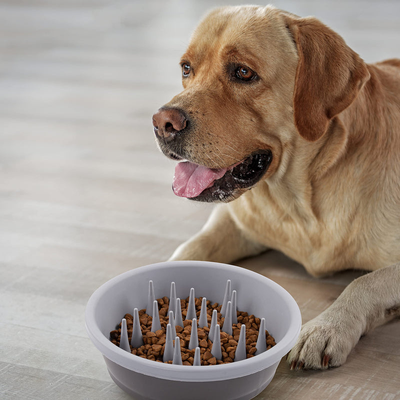 Dexas Slow Feeder Dog Bowl for Healthier Digestion, Teeth and Gums Gray 6 Cup Silicone Slow Feeder - BeesActive Australia