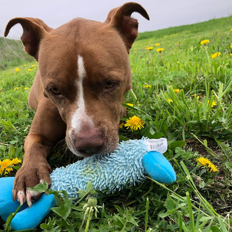 Snuggle Puppy Tender-Tuffs Fetch - Big Tough Plush Dog Toy - Play Fetch or Tug-of-War - Shaggy Blue Raccoon with Puncture Resistant Squeaker - BeesActive Australia
