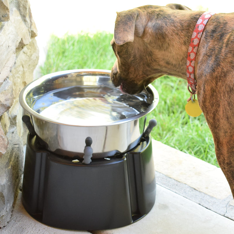 PegSet My Bowl Stand | 5” Elevated Stand for Any Dog Bowl up to 7.5” Width, Lift Your Pet’s Food or Water, Reduces Joint Strain, Sturdy and Durable, Washable and Stackable, Adjustable Raised Feeder 5" Height, for Bowl up to 7.5" Base Width Black - BeesActive Australia