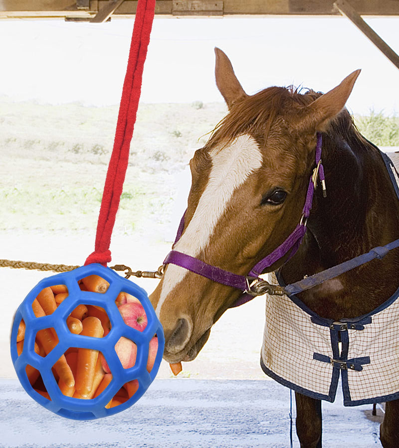 Horse Toy Treat Feeder Ball-Hanging Apple,Carrot or Hay Feeding Ball for Horse Stable and Paddock Rest,Goat and Donkey light blue - BeesActive Australia