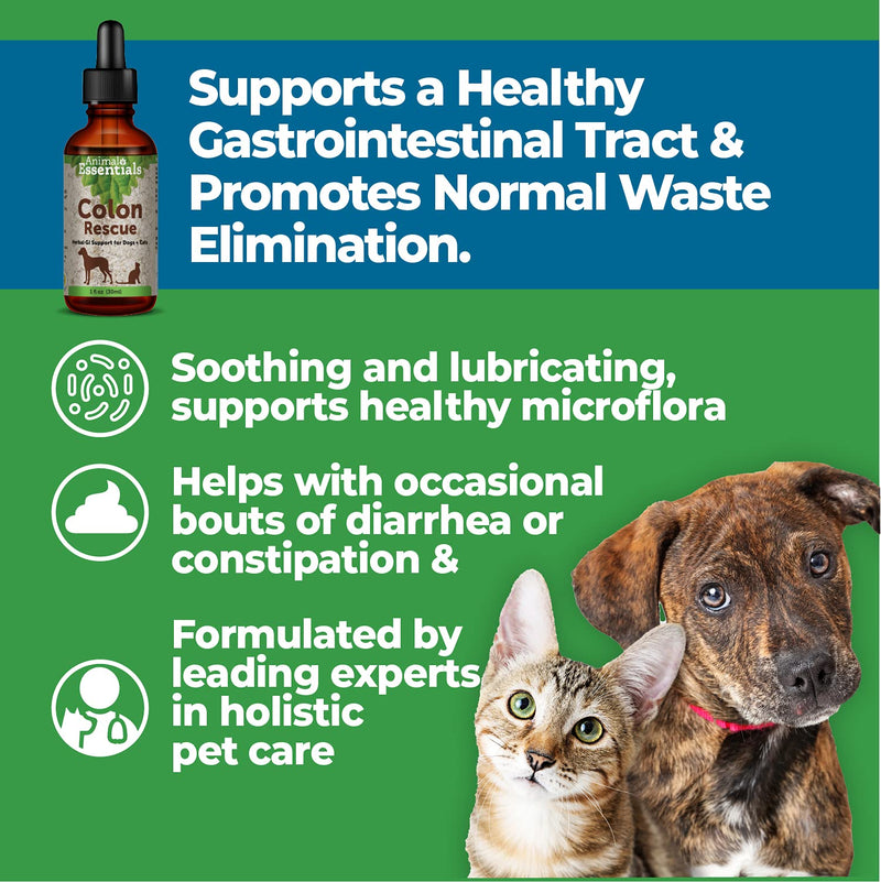 Animal Essentials Colon Rescue Herbal GI Support for Dogs & Cats, 1 fl oz - Made in USA Digestive Aid, Phytomucil Blend - BeesActive Australia