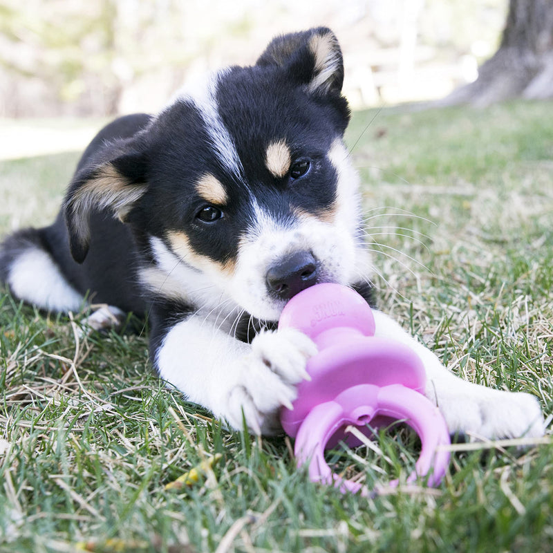 KONG - Puppy Binkie - Soft Teething Rubber, Treat Dispensing Dog Toy - for Small Puppies - Pink - BeesActive Australia