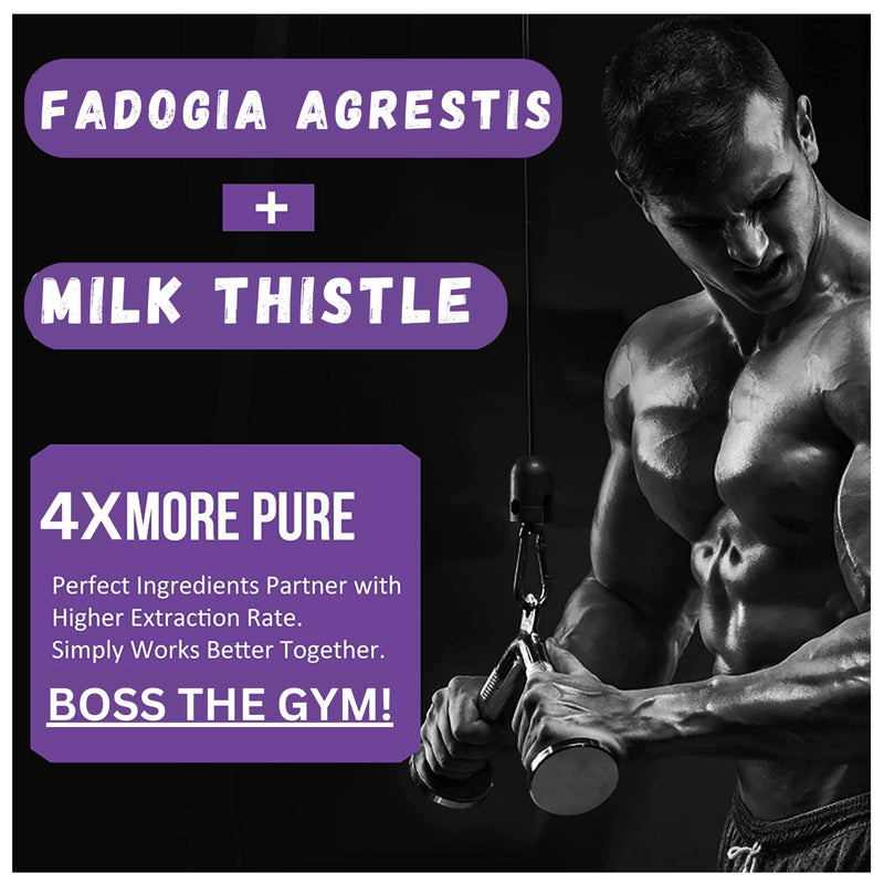 Fadogia Agrestis 2000mg 90 Vegan Tablets High Strength Fadogia Agrestis Extract Supplements - Athletic Performance & Muscle - Gluten Free, Non-GMO(Not Fadogia agrestis Capsule) (90 (Pack of 1) 90 (pack of 1) - BeesActive Australia