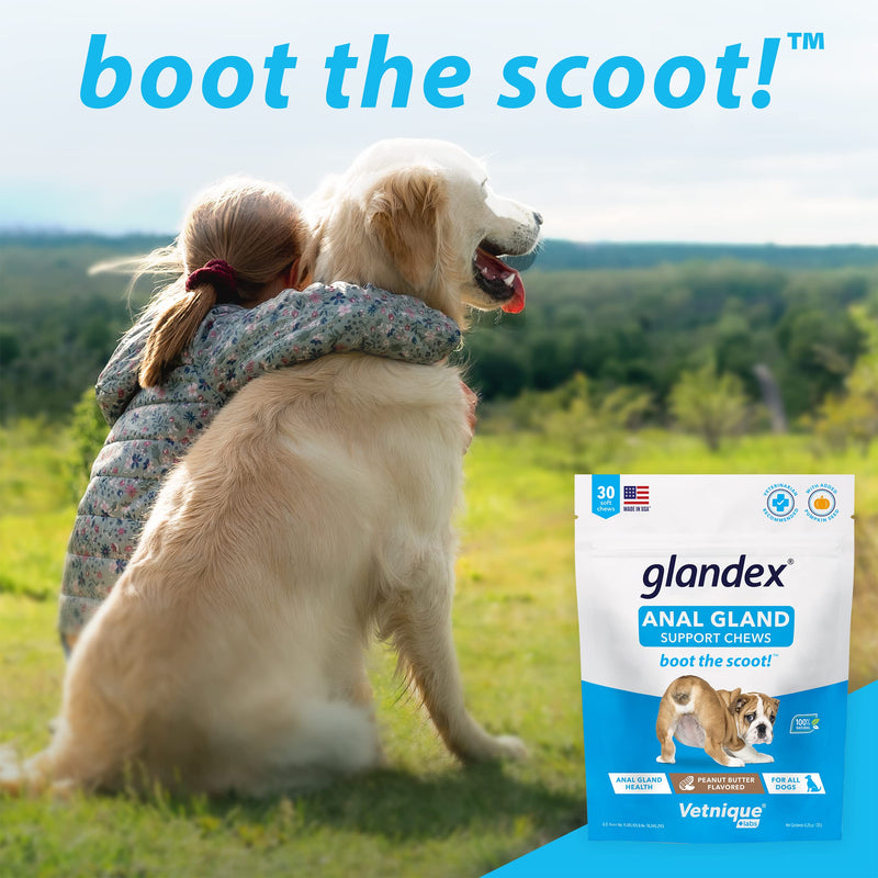 Glandex Anal Gland Support 60ct Peanut Butter Fiber Supplement with Profivex 30ct Pet Probiotic Soft Chews Bundle - BeesActive Australia