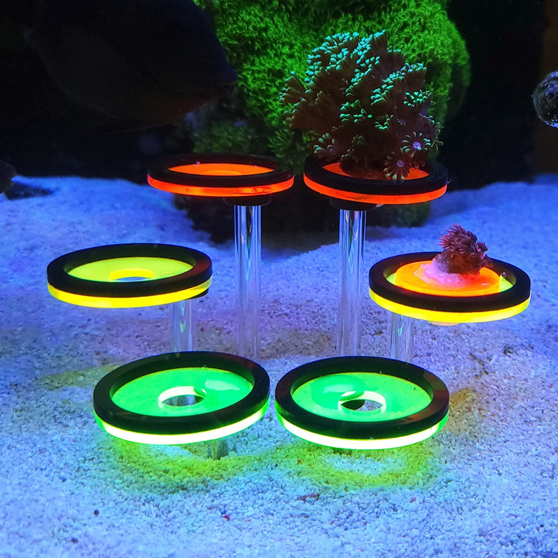 Coral Frag Rack Fluorescent Coral Frag Plug Sand Holder Marine Reef Aquarium Spare Parts Cultivating Live Cora (6 Plug) 6 Plug - BeesActive Australia