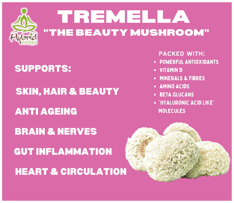 HYBRID HERBS � ORGANIC TREMELLA MUSHROOM | 10:1 Extract Powder | Anti Aging Supplement for Beauty & Skin | Rich in Antioxidants, Beta Glucans, Vitamin D & Prebiotic Fibre | 113 Servings (113g) - BeesActive Australia