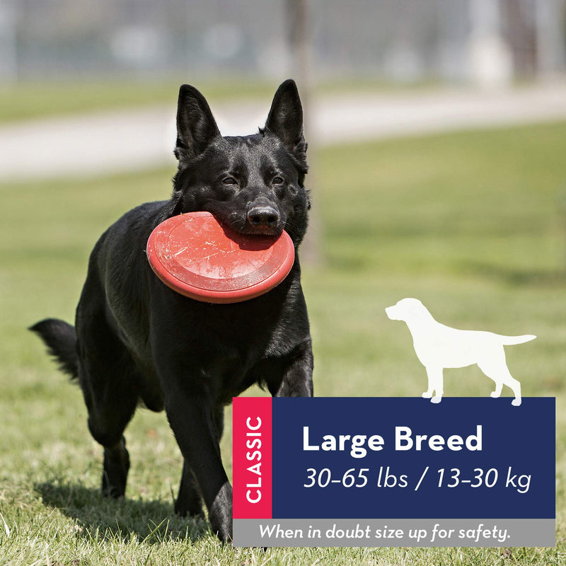 KONG - Flyer - Durable Rubber Flying Disc Dog Toy Large - BeesActive Australia