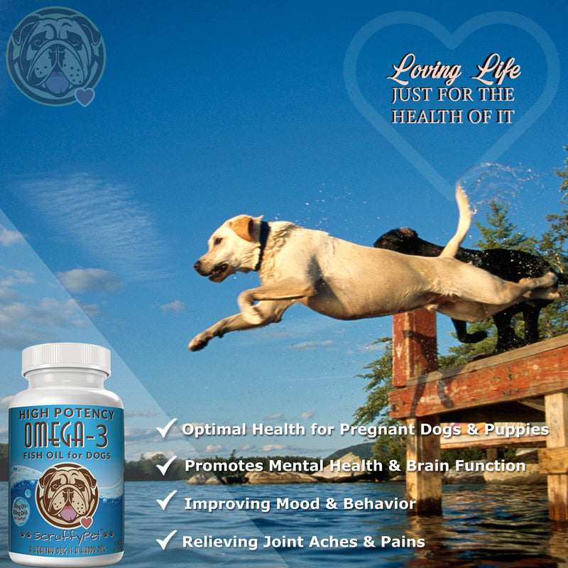 ScruffyPet Pure Omega 3 Wild Fish Oil for Dogs with Vitamin E - Highest EPA & DHA Softgels Available (1000mg) 180ct - BeesActive Australia