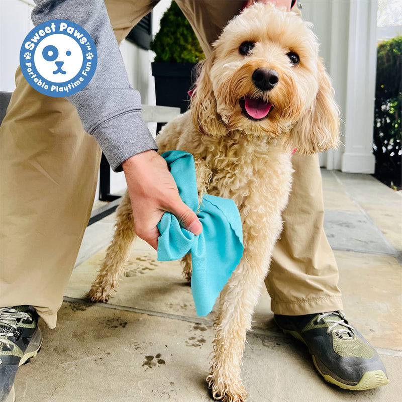 Sweet Paws Microfiber Portable Dog Towels for Drying Dogs - Lightweight Microfiber Super Absorbent Dog Towel - Paw Towel for Small and Medium Dogs - Case Clips onto Leash Or Bag (Newport Navy) Newport Navy (Small) - BeesActive Australia