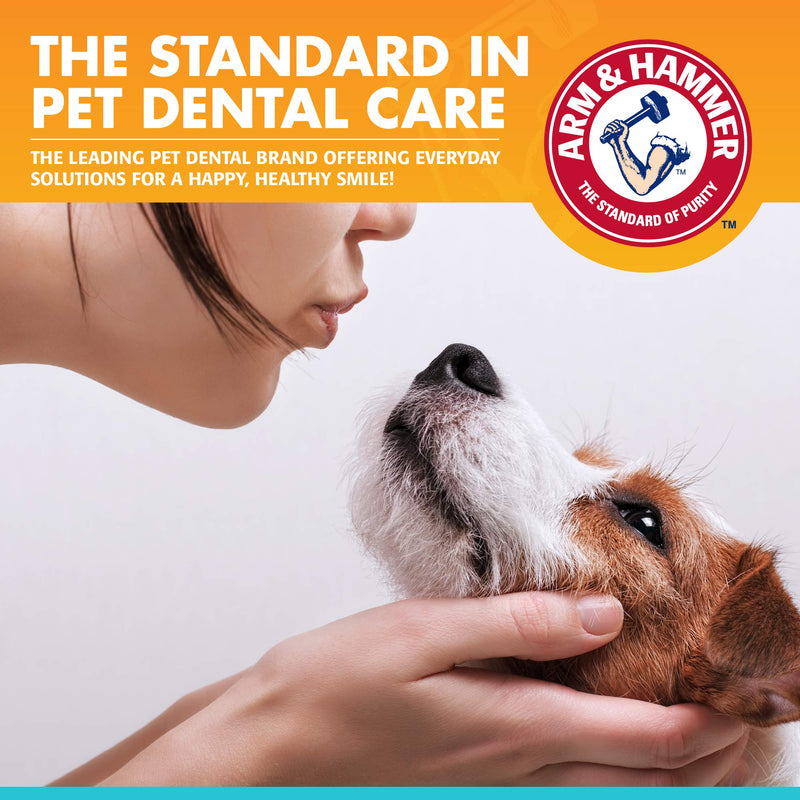 Arm and Hammer Fresh Breath Dental Kit for Pets - Pet Toothbrush and Pet Toothpaste with Baking Soda - Oral Care Dental Kit for Cat and Dog Teeth Cleaning - Toothbrushing Kit for Pets Dogs - Chicken Flavor 1 Pack - BeesActive Australia