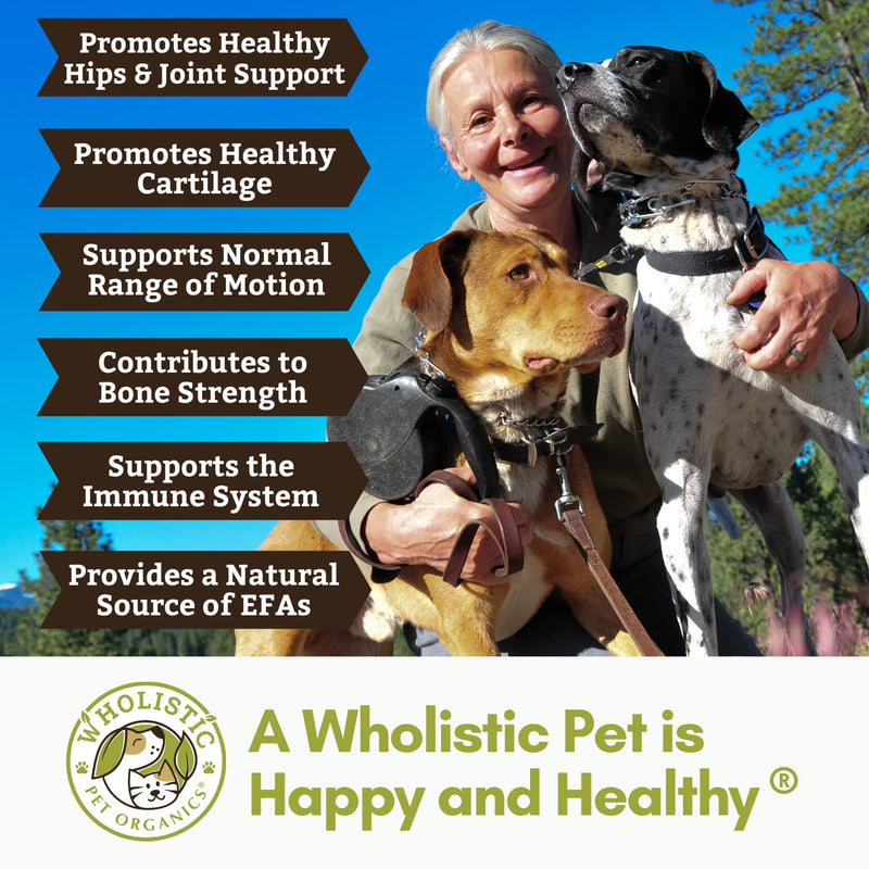 Wholistic Pet Organics Run Free: Dog Joint Health Supplement - Natural Hip and Joint Soft Chews for Dogs Mobility Support - Dog Glucosamine with MSM, Chondroitin 120 Count - BeesActive Australia