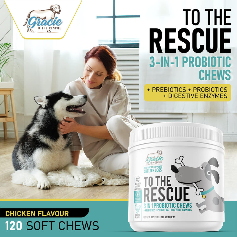 Probiotic Chews for Dogs with Pre and Probiotics - Advanced Dog Probiotics and Digestive Enzymes, Diarrhea Treatment, Itchy Skin, Upset Stomach, coprophagia, UTI's, Dog Allergy - BeesActive Australia