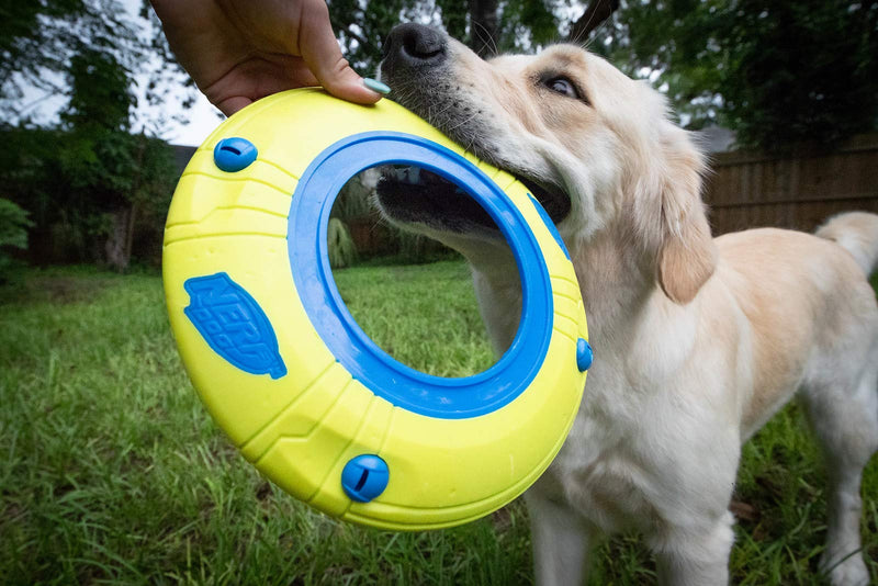 Nerf Dog Atomic Howler Dog Toy, Frisbee, Lightweight, Durable and Water Resistant, 10 Inch Diameter, For Medium/Large Breeds, Single Unit Blue/Green - BeesActive Australia