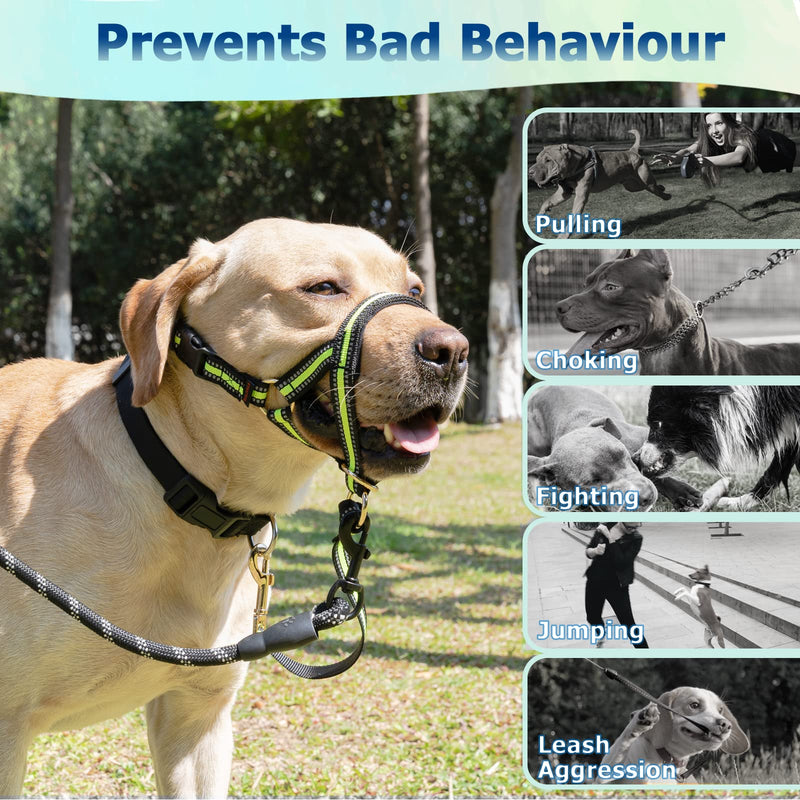 Dog Head Collar, No Pull Stylish Head Halter for Heavy Pullers, Gentle Dog Face Harness Stops Pet Pulling and Choking on Walks for Medium Large Aggressive Dogs L Fuorescent Green - BeesActive Australia