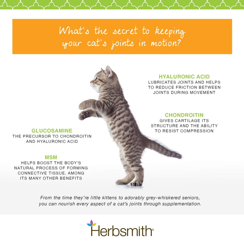 Herbsmith Sound Kitty – 5-in-1 Joint Care for Cats with Chondroitin, Glucosamine & MSM- Natural Joint Pain Relief for Cats – 75g - BeesActive Australia