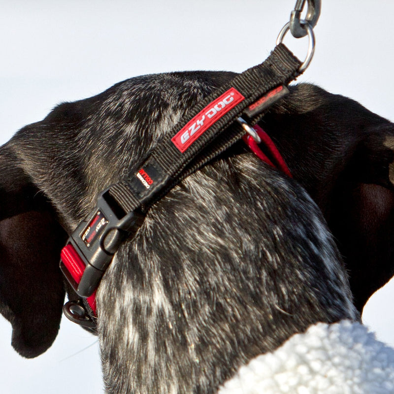 EzyDog Checkmate Martingale-Style Training and Correction Dog Collar Large Blue - BeesActive Australia