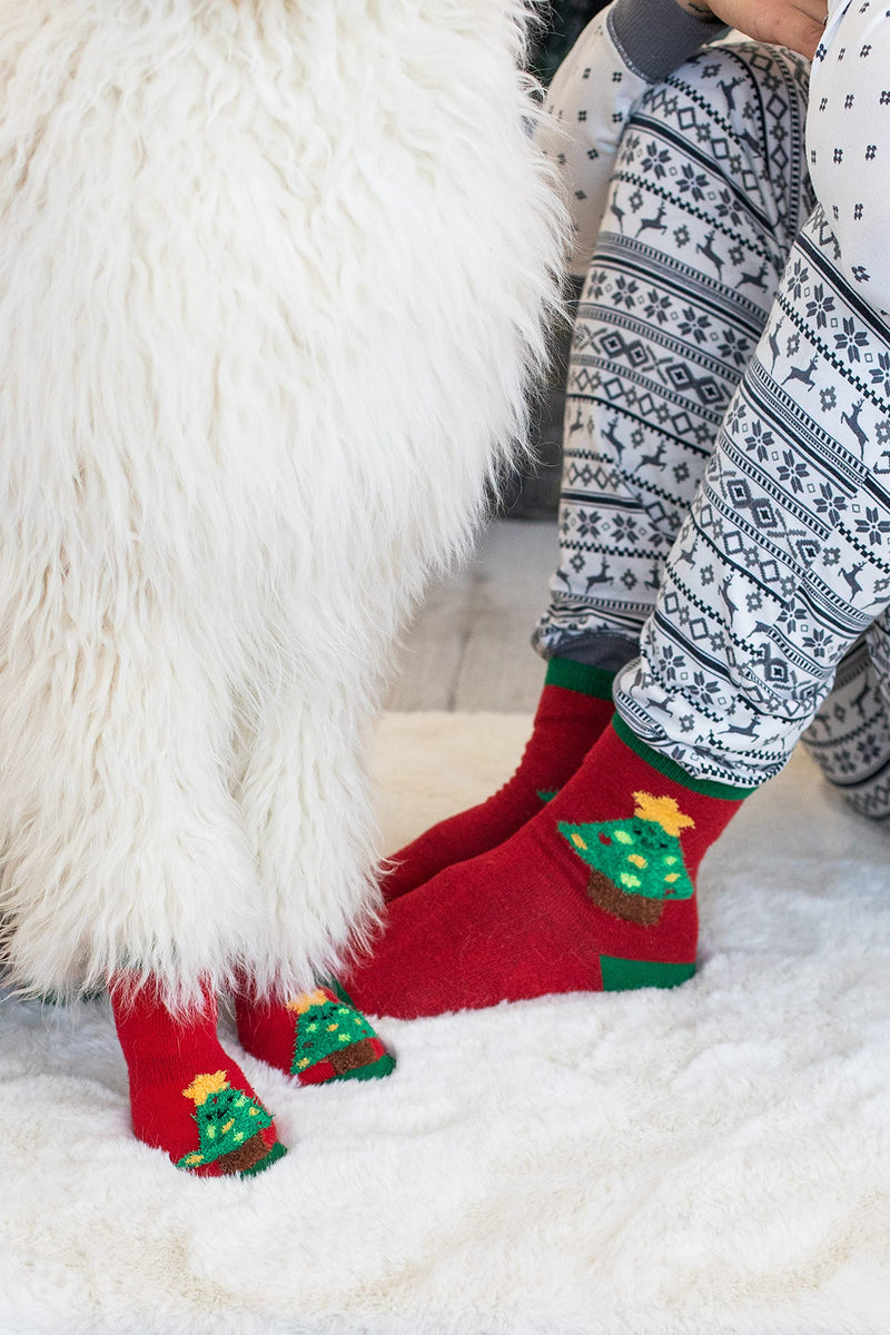 Pearhead Matching Human and Dog Apparel, Christmas Socks Set for dog and Owner, Green and Red Christmas Tree Dog Socks and Adult Socks Christmas Tree Human & Dog Sock Set - BeesActive Australia