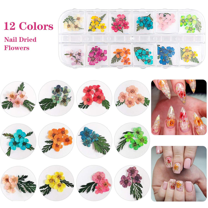 48 Colors Dried Flowers Nail Art Butterfly Glitter Flake 3D Holographic, Tufusiur Dry Flower Nails Sequins Acrylic Supplies Face Body Gifts for Decoration Accessories & DIY Crafting - BeesActive Australia