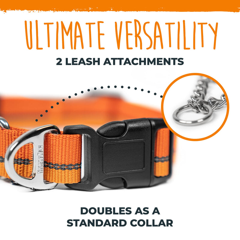 Mighty Paw Martingale Dog Collar 2.0 | Trainer Approved Limited Slip Collar with Stainless Steel Chain & Heavy Duty Buckle. Modified Cinch Collar for Gentle & Effective Pet Training Medium Orange - BeesActive Australia