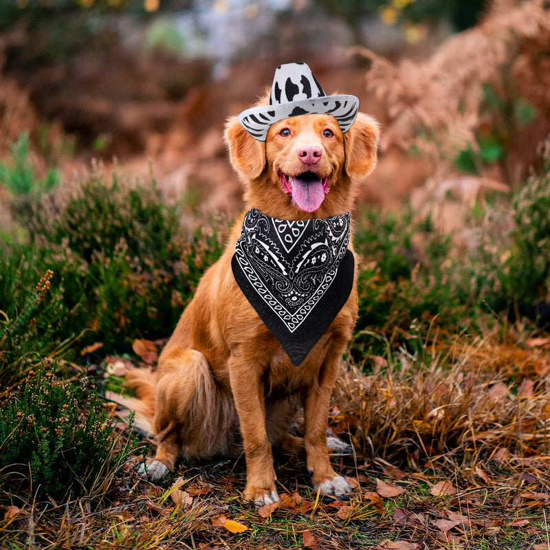 Yewong Pet Cowboy Costume Accessories Dog Cat Cow Print Cowboy Hat Bandana Scarf Western Cowboy Party Supplier for Puppy Kitten Set B - BeesActive Australia
