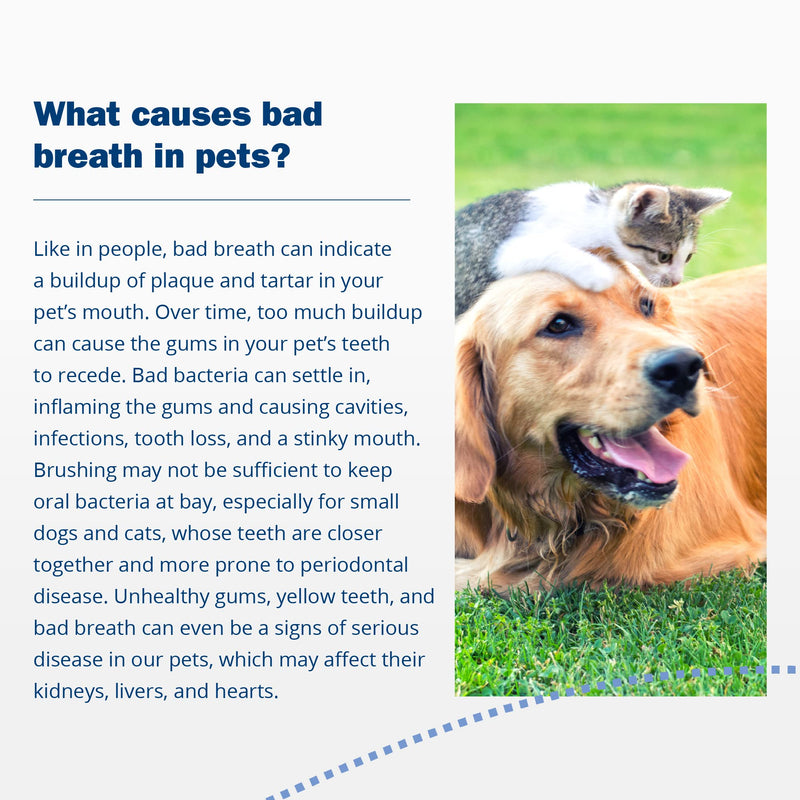 ProBioraPet Oral-Care Probiotic for Dogs and Cats - Supports Healthy Teeth and Gums and Freshens Breath - Patented Blend of Probiotics - Vet Recommended Dental Powder for Pets - 30 Day Supply (30g) - BeesActive Australia