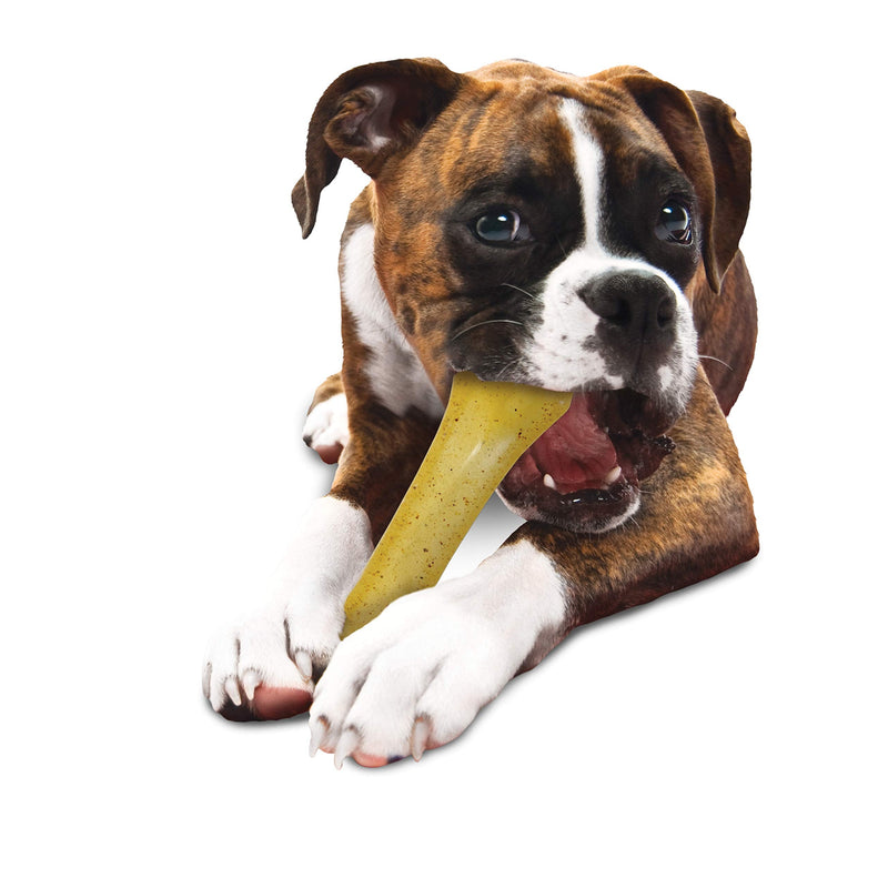 Nylabone Flex Moderate Chew Dog Toy Chicken X-Large/Souper (1 Count) X-Large/Souper (1 Count) - BeesActive Australia