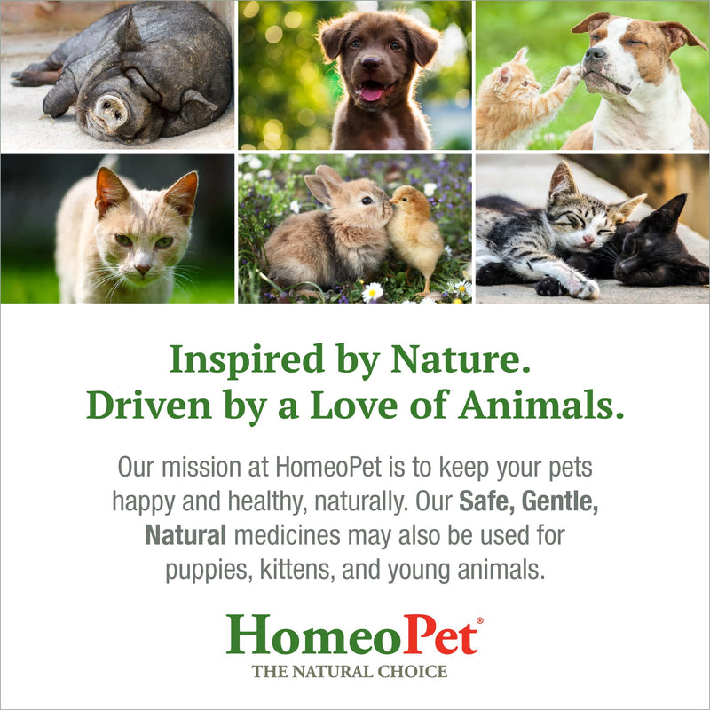 HomeoPet Storm Stress, Storm Anxiety Relief for Dogs, Cats, and Other Small Animals, 15 Milliliters 20 to 80-Pound - BeesActive Australia