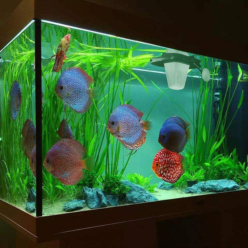 Fischuel Aquarium Feeding Ring Floating Rings Food Feeder Feeding Trough with Suction Cup for Fish Feeder Square-Black - BeesActive Australia