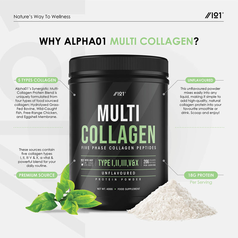 Multi Collagen Protein Powder (400g) - Types I, II, III, V & X - Hydrolyzed Grass Fed Bovine, Wild Caught Fish, & Free-Range Chicken & Eggshell Collagen. Non-GMO, Halal. 400 g (Pack of 1) - BeesActive Australia